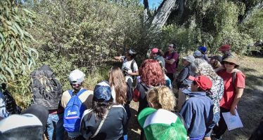 “Safari de otoño” por la Reserva Municipal de Escobar