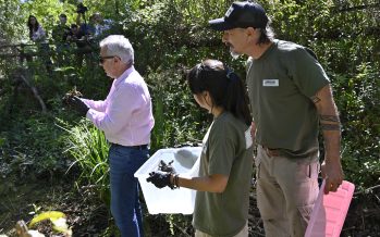 Tigre: se liberaron especies nativas en el Área Natural Protegida “Monte Blanco”