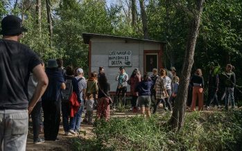 Tigre: una cooperativa de junqueros resiste el negocio inmobiliario