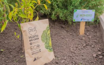San Fernando lanzó una nueva temporada de entrega de semillas “Huerta en Casa”