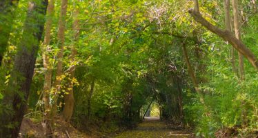 Avanza la adecuación de la Reserva Ecológica de San Fernando