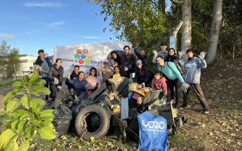 Se llevó a cabo una jornada de limpieza en la Reserva Natural de Tigre