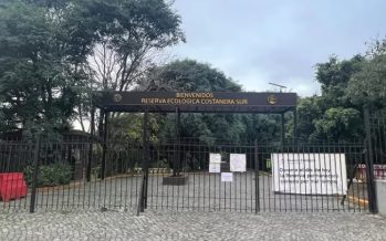 Detuvieron en Campana al sospechoso de haber abusado de una mujer en la reserva ecológica de la Costanera Sur
