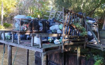 Tigre: “La basura en el Delta se está acumulando por la ausencia del Estado Municipal”