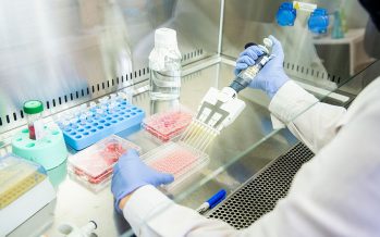 Cómo es el primer laboratorio argentino que busca prescindir de los animales en experimentos