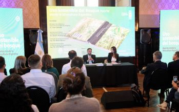 Ambiente presentó un libro dedicado a la silvicultura