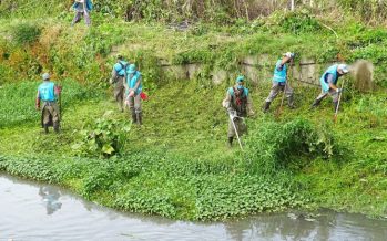 Tigre: la Provincia realizó operativos de limpieza en arroyos, canales y zanjas