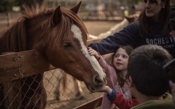 La Granja Educativa Don Benito reabre sus puertas con actividades para toda la familia