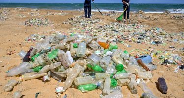 Día Mundial del Medio Ambiente, “nada que festejar”