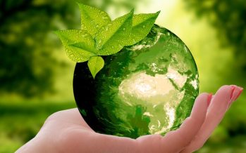 La sustentabilidad medioambiental debe abandonar la categoría de eslogan y ser realizable