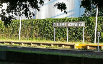 Participación Ciudadana para la nueva subestación eléctrica Schweitzer