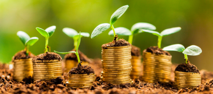 Empiezan a “levantar la vara” para la emisión de bonos vinculados a la sustentabilidad