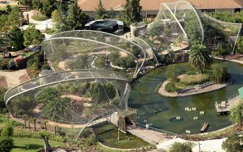 Abierta la inscripción al Ciclo de Capacitaciones Ambientales 2023