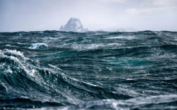 Día de los Océanos: alerta por temperaturas récord y su impacto en la biodiversidad