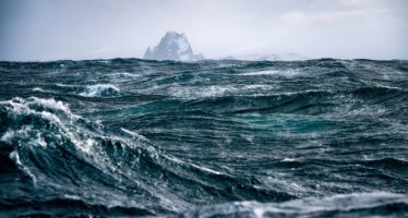 Día de los Océanos: alerta por temperaturas récord y su impacto en la biodiversidad