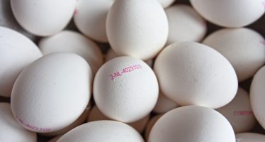 El 40% de las enfermedades trasmitidas por alimentos ocurren en los hogares