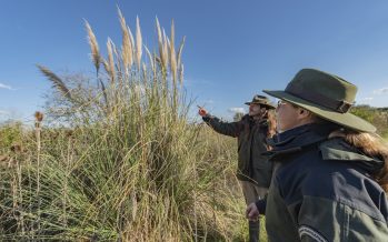 Parques Nacionales abrió una convocatoria para sumar guardaparques en las áreas protegidas