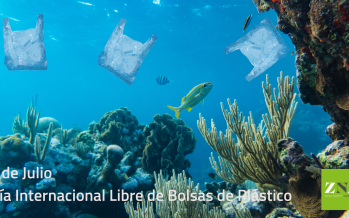 Hoy se celebra el Día Internacional Libre de Bolsas de Plástico
