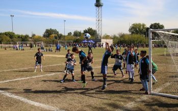 Malena Galmarini: “Queremos recuperar los polideportivos y construir más para todos los barrios de Tigre”