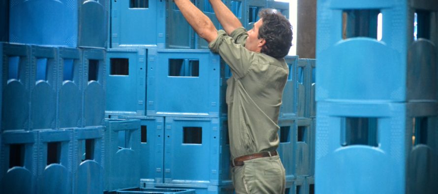 Un reciclador de Tigre, primero en la región en ofrecer bonos de plástico al mercado internacional