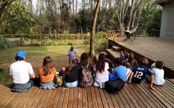 Tigre: ¿Cómo y cuándo se puede visitar el Área Natural Protegida Monte Blanco del Delta?