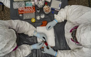 Parque Nacional Ciervo de los Pantanos: se realizaron trabajos de vigilancia epidemiológica