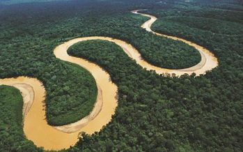 La deforestación en la Amazonía de Brasil cae 66% en julio y registra el menor valor en cuatro años