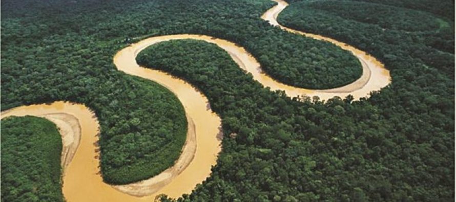 La deforestación en la Amazonía de Brasil cae 66% en julio y registra el menor valor en cuatro años