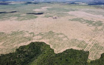 Cumbre Amazónica: buscan imponer la diplomacia del cambio climático desde el sur