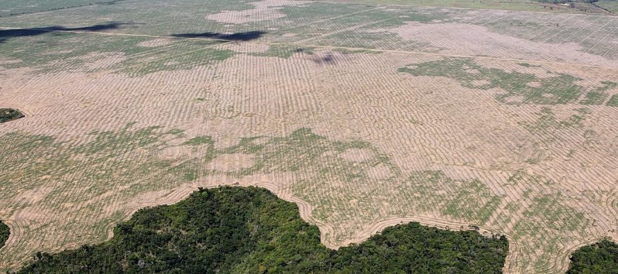 Cumbre Amazónica: buscan imponer la diplomacia del cambio climático desde el sur