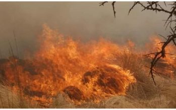Incendios en Córdoba: ya no quedan focos activos