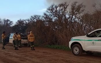Incendios controlados en el Parque Nacional Ciervo de los Pantanos