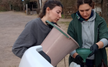 ComiLu: se llevó a cabo un nuevo muestreo en el Río Luján