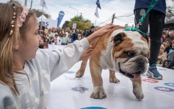 San Isidro: se acerca la “Gran Fiesta de La Horqueta”