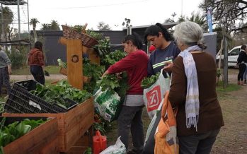 Urbanización y sector agroalimentario: ¿cómo asegurar buenos alimentos para hoy y para mañana?