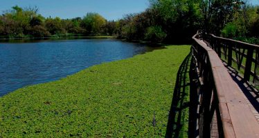 Visita guiada por la Reserva Ecológica de Vicente López