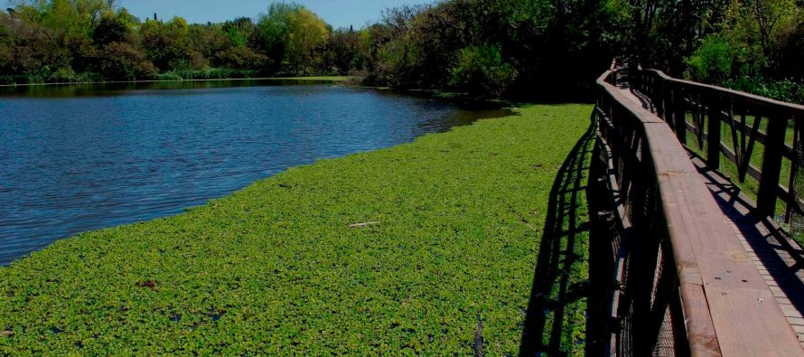 Visita guiada por la Reserva Ecológica de Vicente López