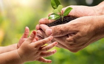 Hoy se celebra el Día Nacional de la Conciencia Ambiental