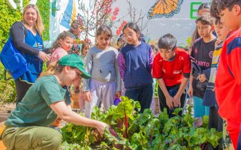 San Fernando ya lanzó una nueva temporada de semillas ‘Huerta en Casa’