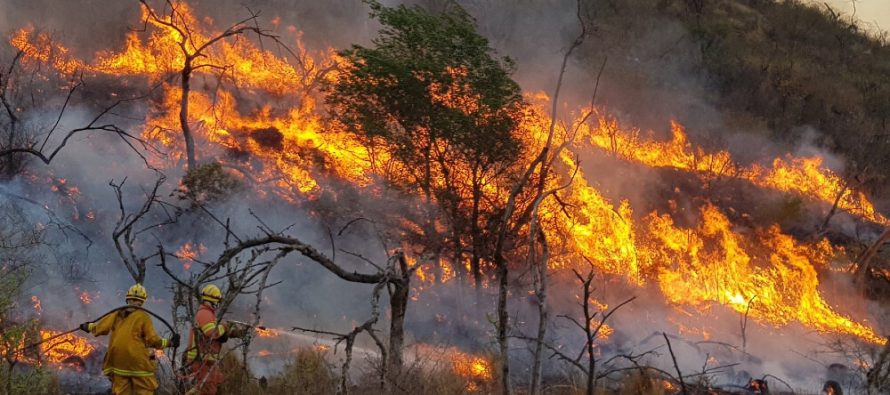 El Servicio Meteorológico Nacional lanzó un índice de “peligro de incendios” y pidió estar atentos a estos eventos