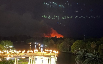 Incendios en las islas del Delta de Tigre