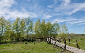 Parques Nacionales y Pilar trabajan para el fortalecimiento de la Reserva Municipal