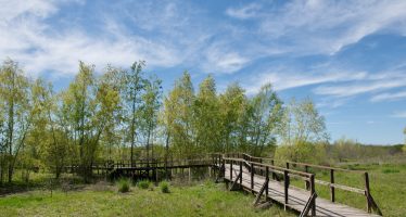 Parques Nacionales y Pilar trabajan para el fortalecimiento de la Reserva Municipal