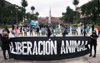 Según la ONU, El veganismo “no para de crecer” y es la alimentación más sostenible