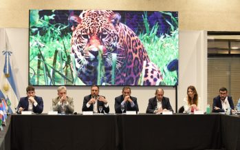 El Consejo Federal de Medio Ambiente fijó su posición frente al negacionismo climático