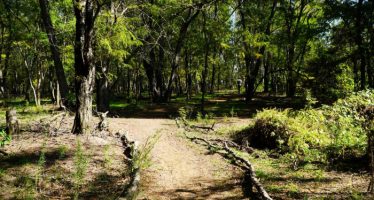 Se declaró de Interés Municipal el nuevo límite de Pilar con la Cuenca del Río Luján