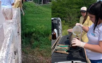 El Comité de Cuenca del Río Luján realizó el muestreo de primavera de aguas superficiales