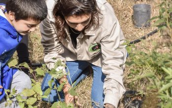 Agenda de noviembre de talleres gratuitos en la Reserva Natural de Maschwitz