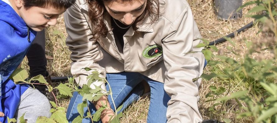 Agenda de noviembre de talleres gratuitos en la Reserva Natural de Maschwitz