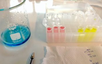 Investigadores de la Universidad de San Martín aprovechan la luz solar para producir energía limpia